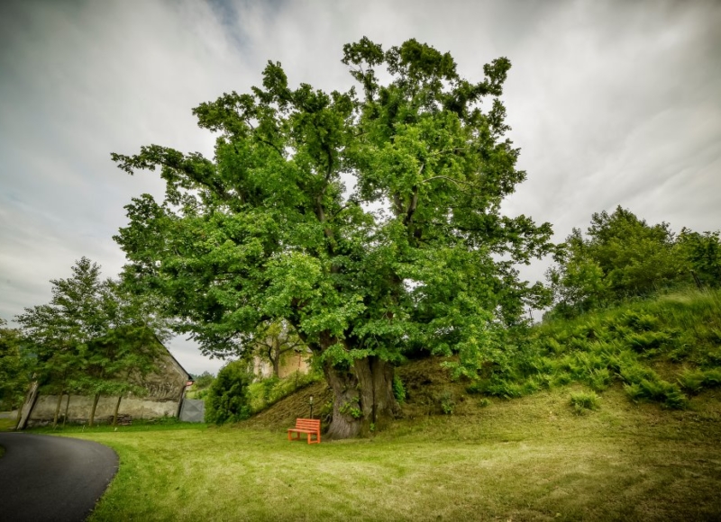 Foto: Nadace Partnerství, Marek Olbrzymek