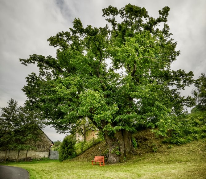 Foto: Nadace Partnerství, Marek Olbrzymek