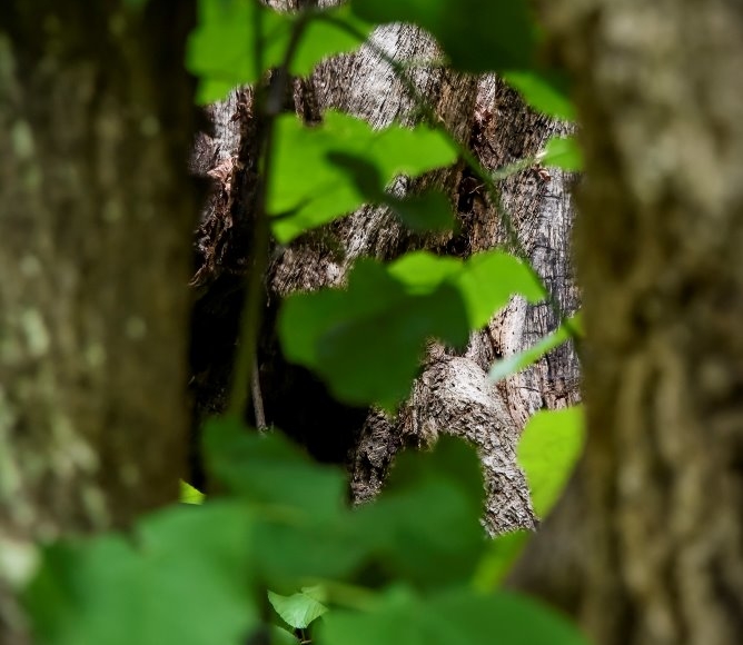 Foto: Nadace Partnerství, Marek Olbrzymek