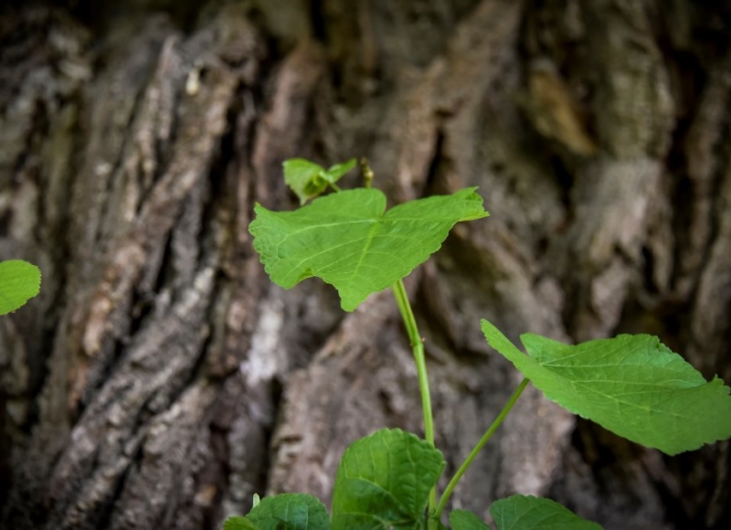 Foto: Nadace Partnerství, Marek Olbrzymek