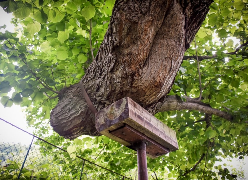 Foto: Nadace Partnerství, Marek Olbrzymek