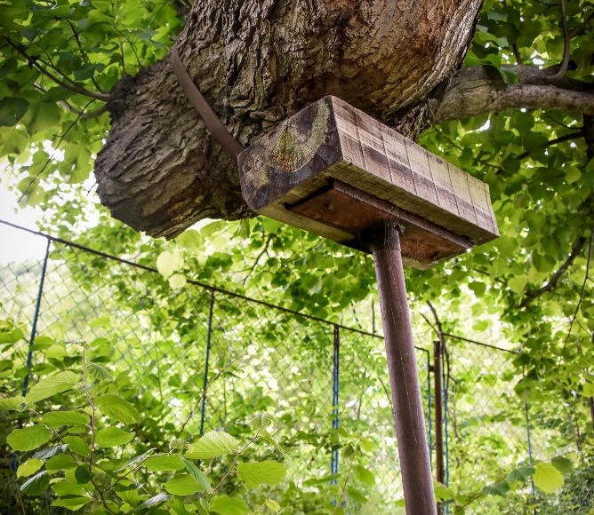 Foto: Nadace Partnerství, Marek Olbrzymek