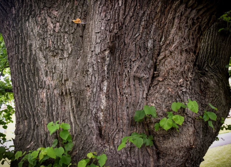Foto: Nadace Partnerství, Marek Olbrzymek