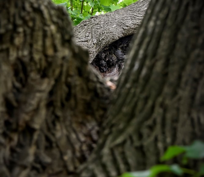 Foto: Nadace Partnerství, Marek Olbrzymek