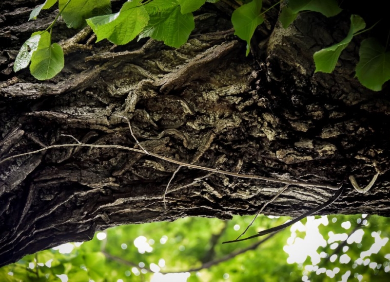 Foto: Nadace Partnerství, Marek Olbrzymek