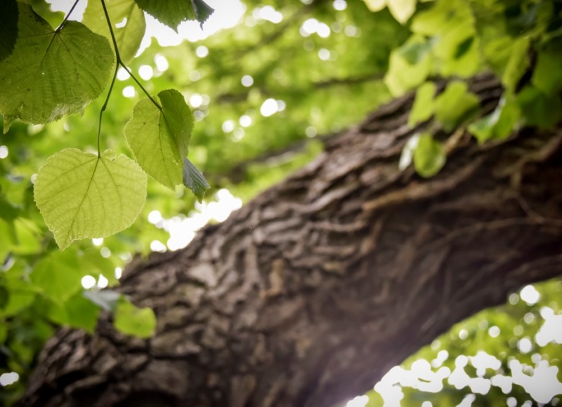 Foto: Nadace Partnerství, Marek Olbrzymek