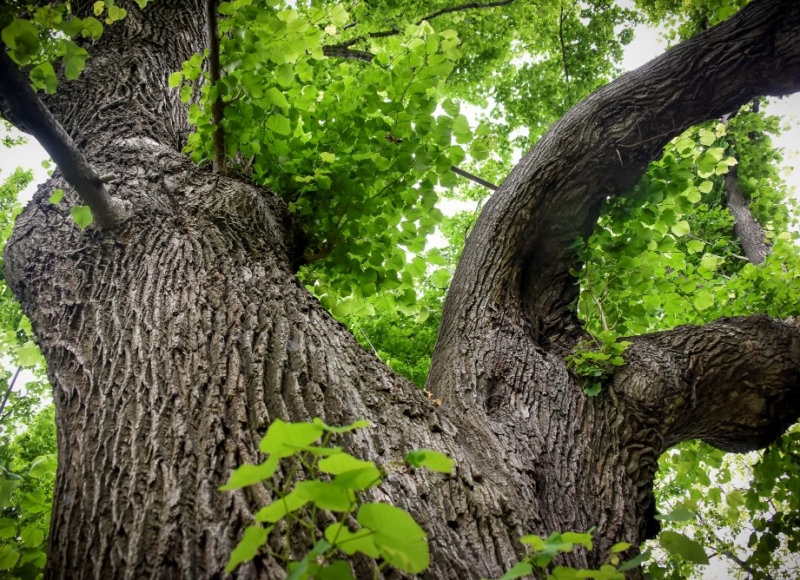 Foto: Nadace Partnerství, Marek Olbrzymek