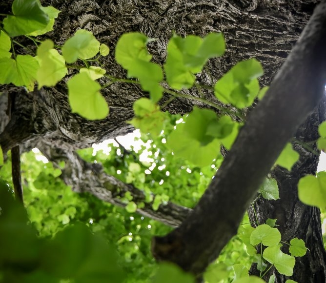 Foto: Nadace Partnerství, Marek Olbrzymek