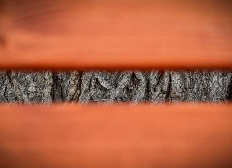 Foto: Nadace Partnerství, Marek Olbrzymek