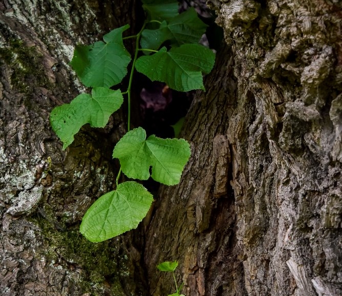 Foto: Nadace Partnerství, Marek Olbrzymek