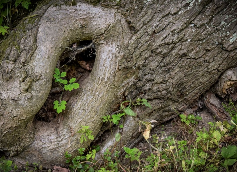 Foto: Nadace Partnerství, Marek Olbrzymek