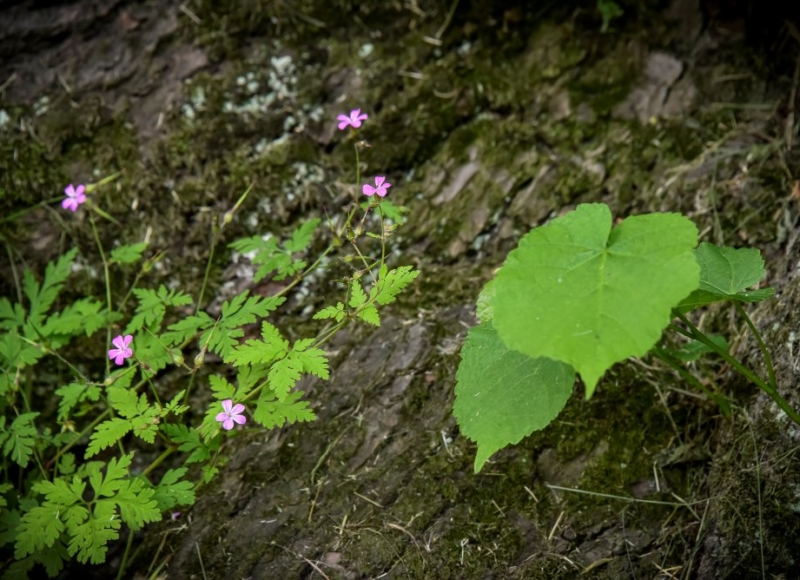 Foto: Nadace Partnerství, Marek Olbrzymek