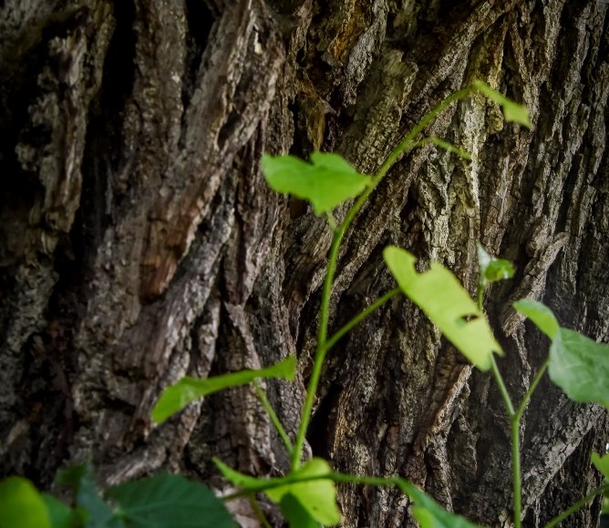 Foto: Nadace Partnerství, Marek Olbrzymek
