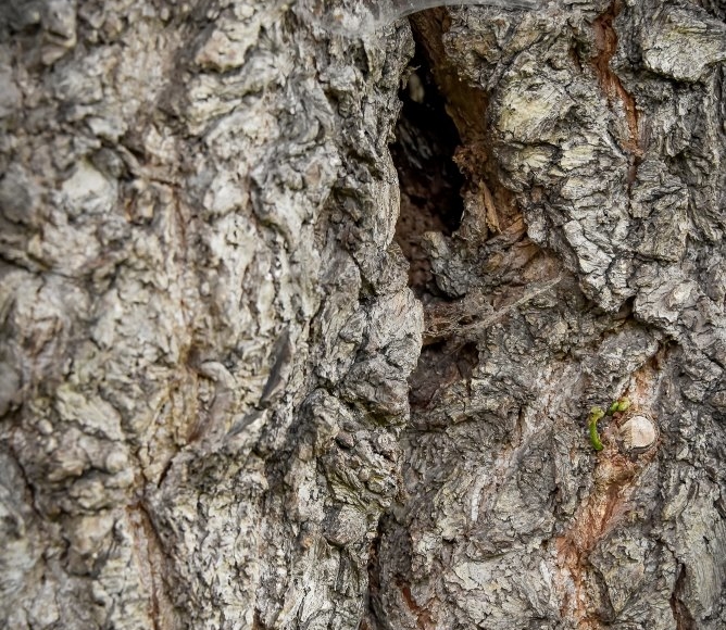 Foto: Nadace Partnerství, Marek Olbrzymek