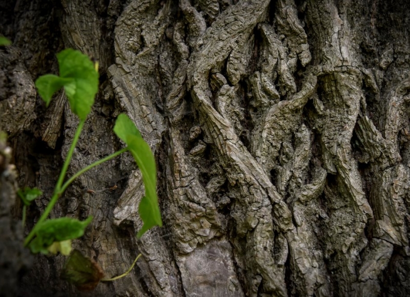 Foto: Nadace Partnerství, Marek Olbrzymek
