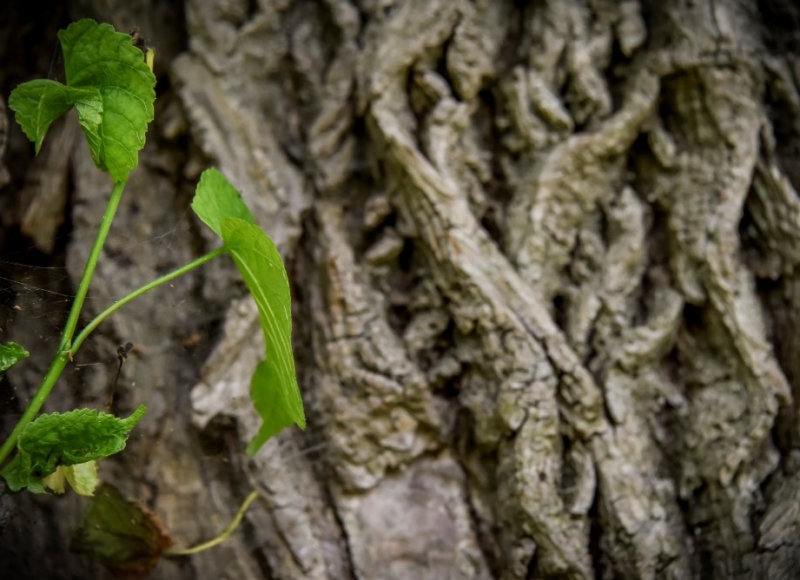 Foto: Nadace Partnerství, Marek Olbrzymek
