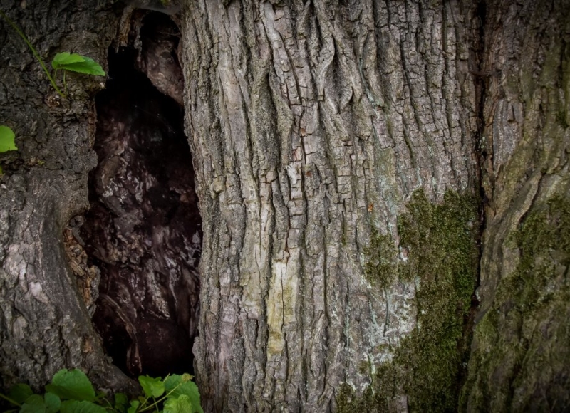 Foto: Nadace Partnerství, Marek Olbrzymek