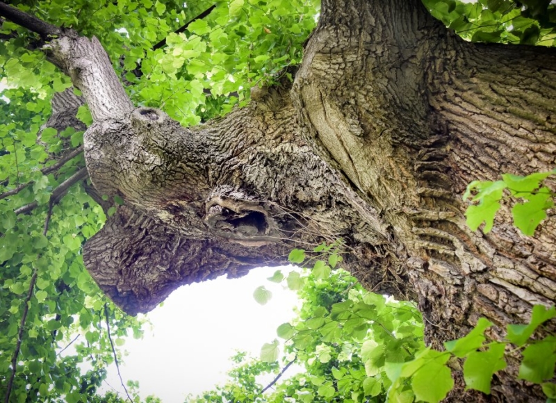 Foto: Nadace Partnerství, Marek Olbrzymek