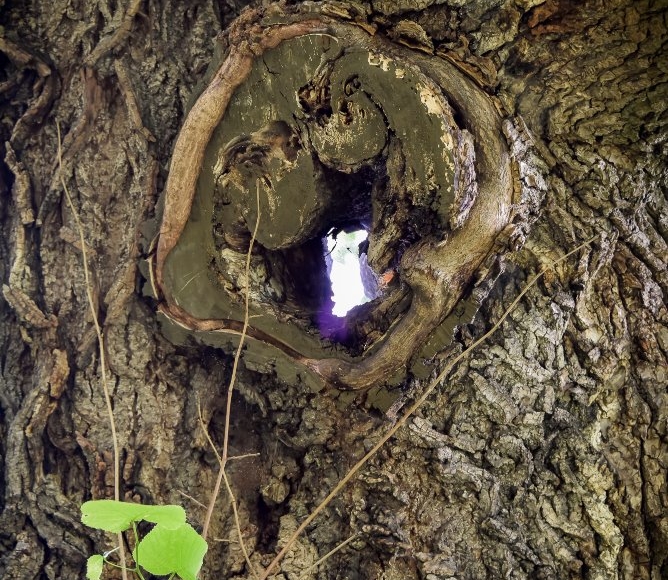 Foto: Nadace Partnerství, Marek Olbrzymek