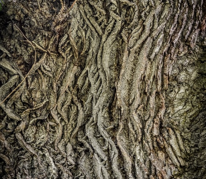 Foto: Nadace Partnerství, Marek Olbrzymek