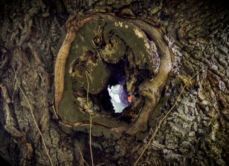 Foto: Nadace Partnerství, Marek Olbrzymek