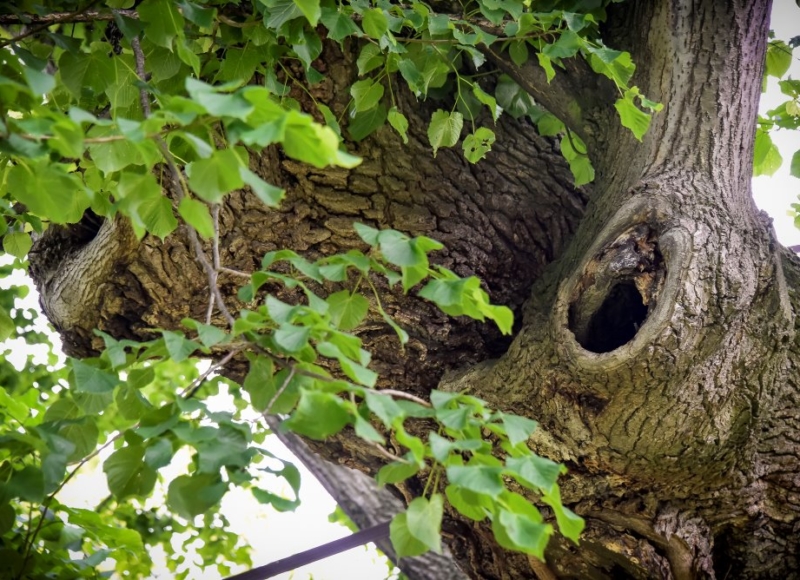 Foto: Nadace Partnerství, Marek Olbrzymek