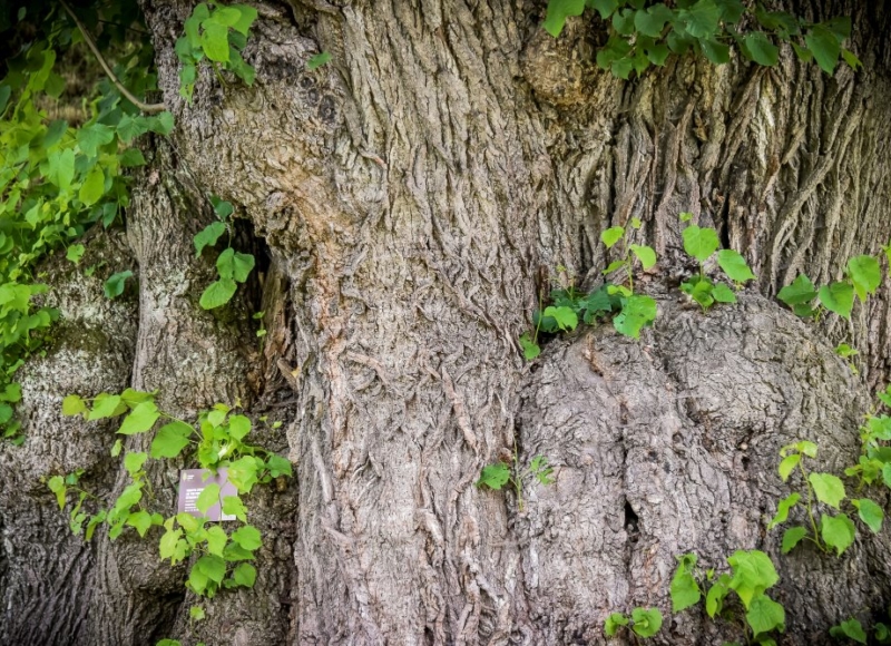 Foto: Nadace Partnerství, Marek Olbrzymek