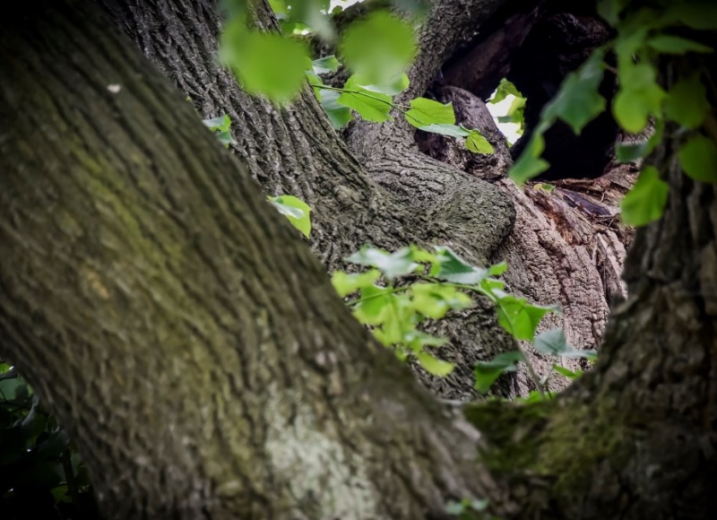 Foto: Nadace Partnerství, Marek Olbrzymek