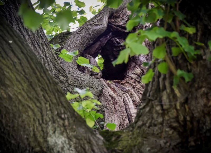 Foto: Nadace Partnerství, Marek Olbrzymek