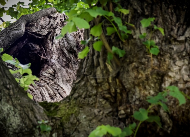 Foto: Nadace Partnerství, Marek Olbrzymek