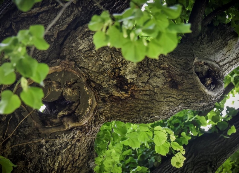 Foto: Nadace Partnerství, Marek Olbrzymek