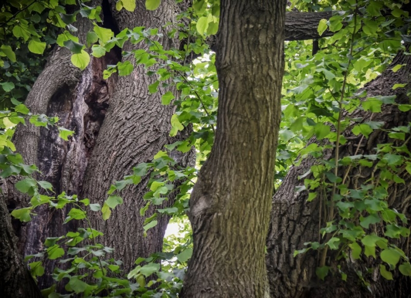 Foto: Nadace Partnerství, Marek Olbrzymek