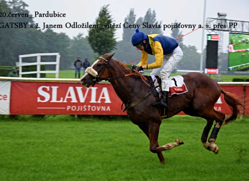 Foto: Miroslav Škoda