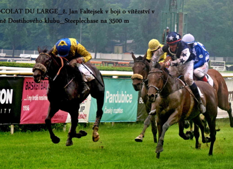 Foto: Miroslav Škoda