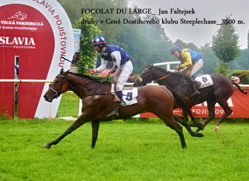 Foto: Miroslav Škoda