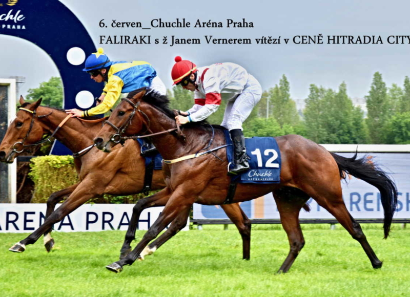 Foto: Miroslav Škoda