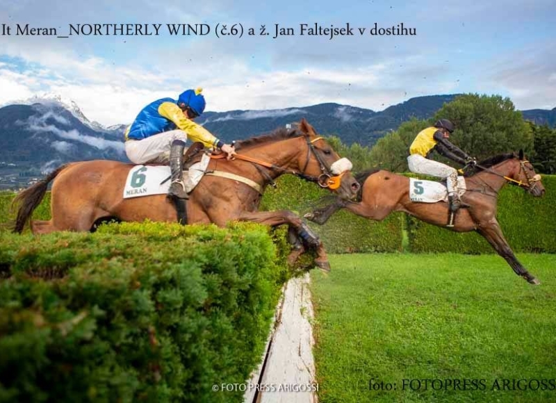 Foto: Miroslav Škoda