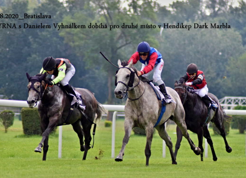 Foto: Miroslav Škoda