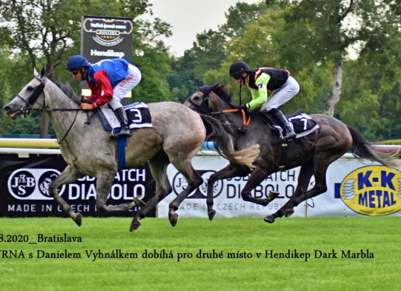 Foto: Miroslav Škoda