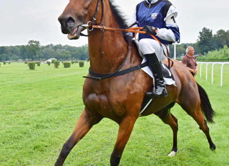 Foto: Miroslav Škoda