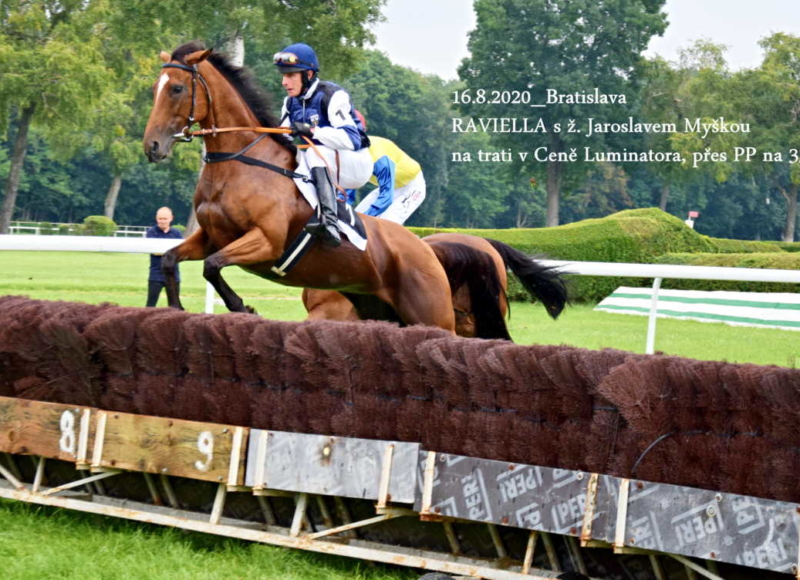 Foto: Miroslav Škoda