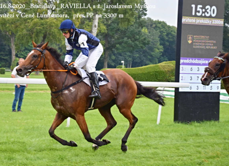 Foto: Miroslav Škoda