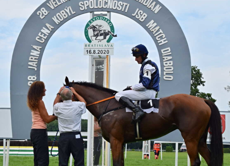 Foto: Miroslav Škoda