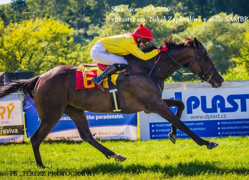 Foto: Miroslav Škoda