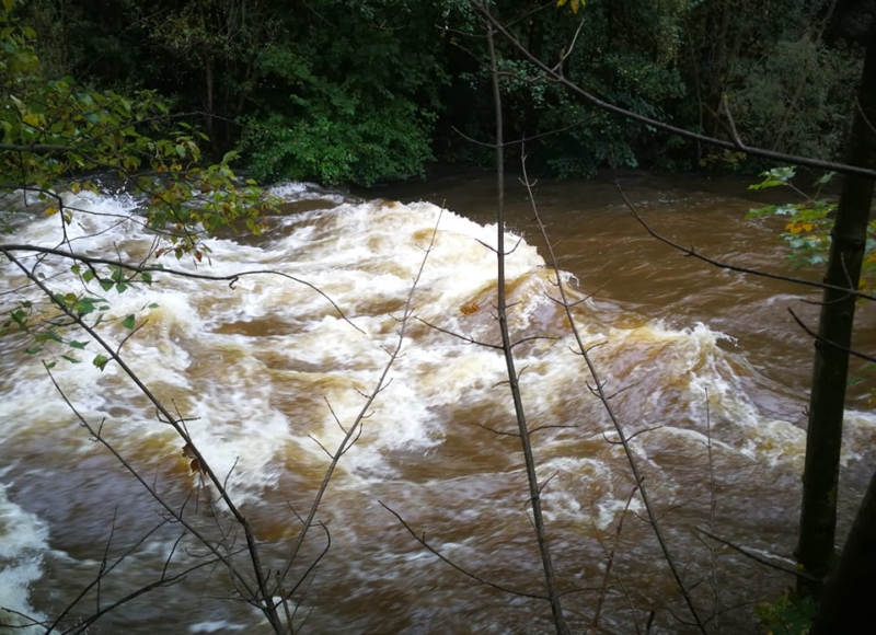 Foto: fanoušek STA Bruntálsko
