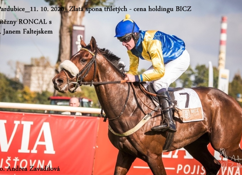 Foto: Miroslav Škoda