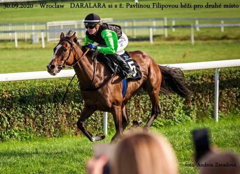 Foto: Miroslav Škoda