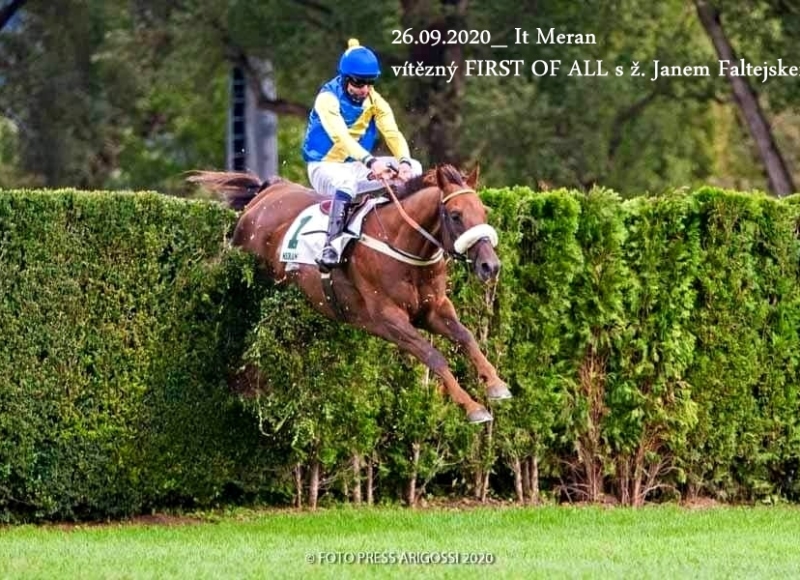 Foto: Miroslav Škoda