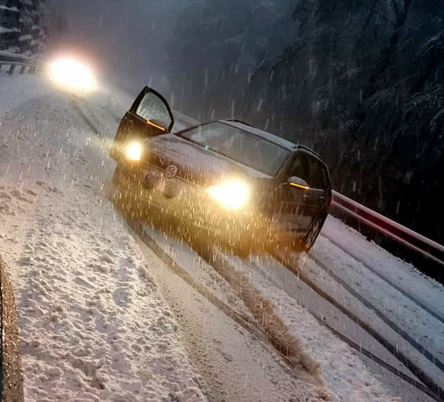 Foto: Facebook - Nell Zálešáková