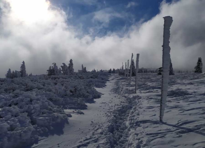 Foto: Anika Kotková